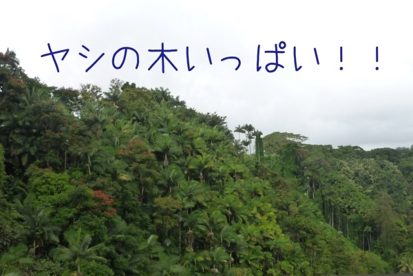写真 2