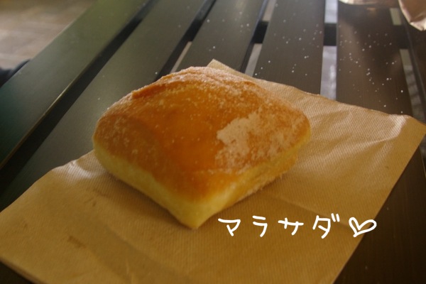 写真 (1)