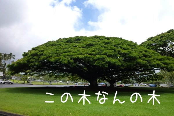 写真 3