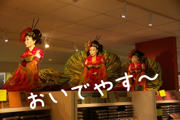 写真 1