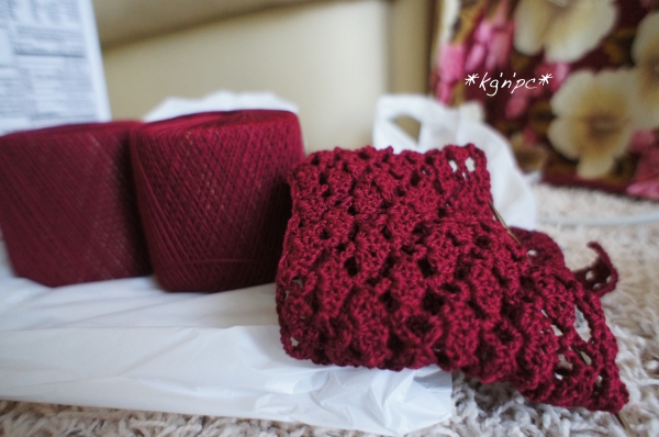 crochet_011213.jpg