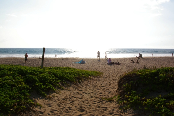 hapunabentrance20120613132415.jpg