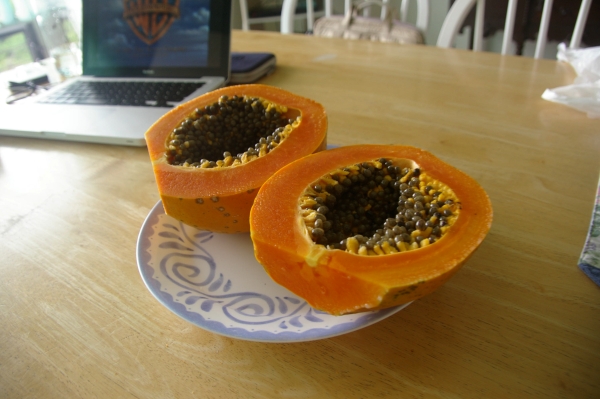papaya20120630220421.jpg