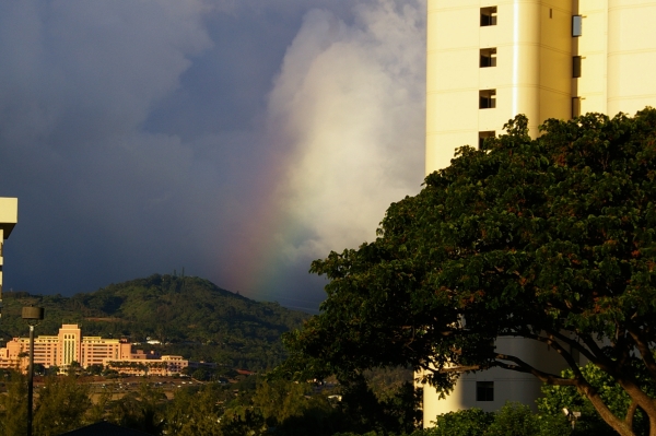 rainbow20120826182439.jpg