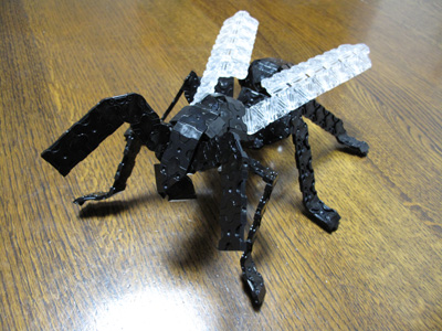 Ant-066bl.jpg