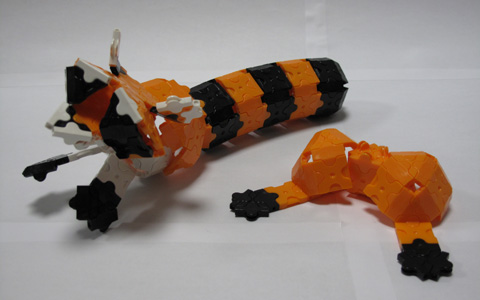 Araiguma-028bl.jpg