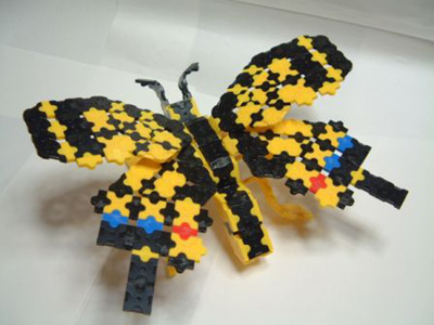 Papillon-049bl.jpg