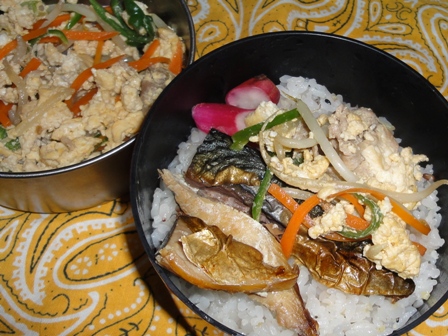 DSC02yeqq.jpg