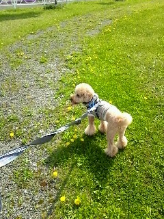 2012_0517_141546_665.jpg