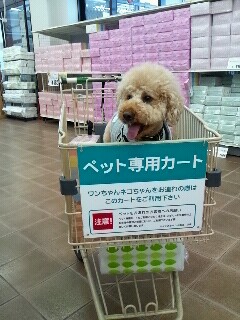 2012_0519_111925_177.jpg
