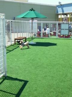 2012_0527_120516_336_convert_20120528110742.jpg
