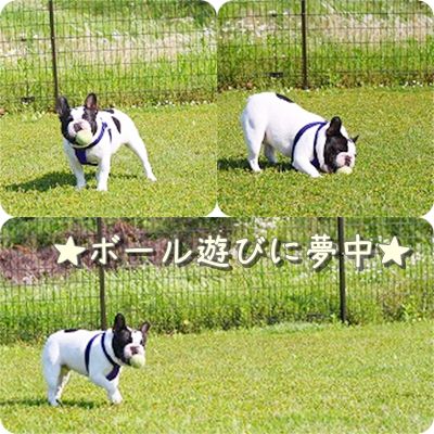5月9日 4