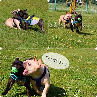 5月9日 2