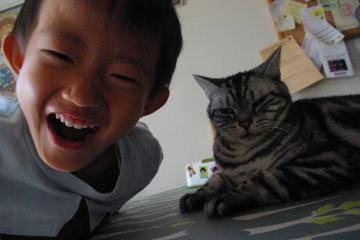 今年の秋1