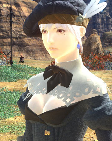 FFXIV_1314631534_20120510035926.jpg