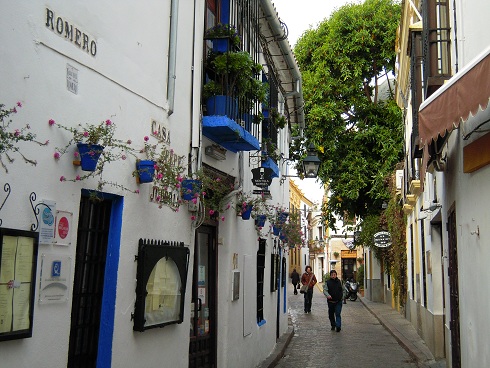DSCN1138.jpg