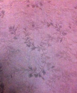 moblog_81885d54.jpg