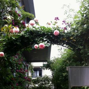 moblog_b1b66765.jpg