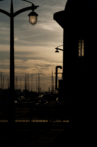 _MG_1223.jpg