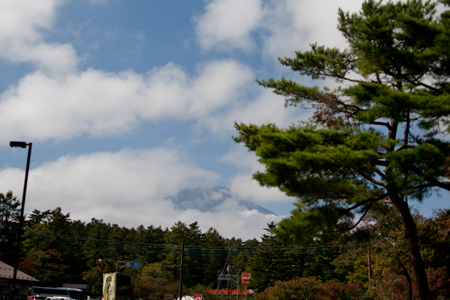 _MG_1418.jpg