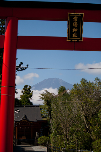 _MG_1428.jpg