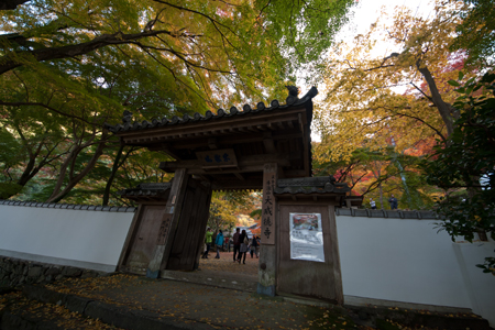 _MG_1475.jpg