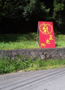 20120430007.jpg