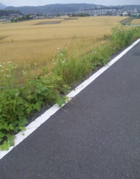 20120603004.jpg