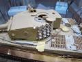 tiger1-4.jpg