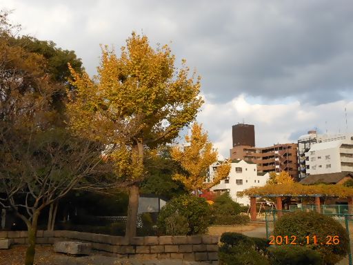 紅葉1
