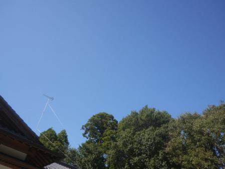 P1120191.jpg