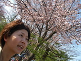 お花見