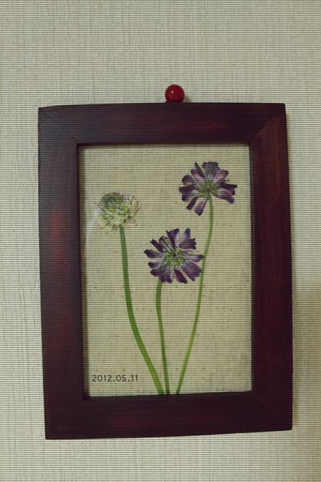 押し花