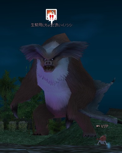 イノシシ・・・?