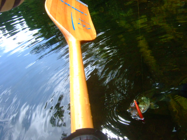 DSCF0766.jpg