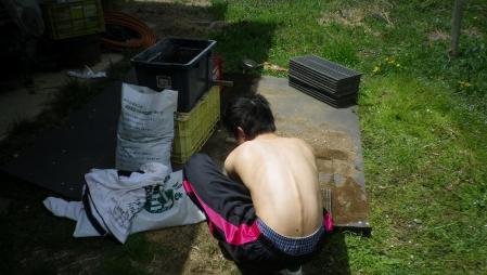 2012-4-29田んぼ1