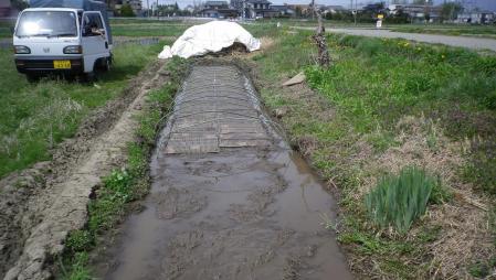 2012-4-29田んぼ2