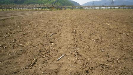 2012-5-14ごま4