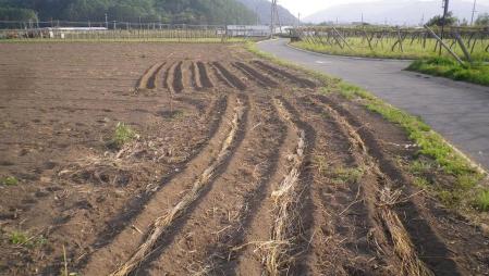 2012-5-17夏野菜