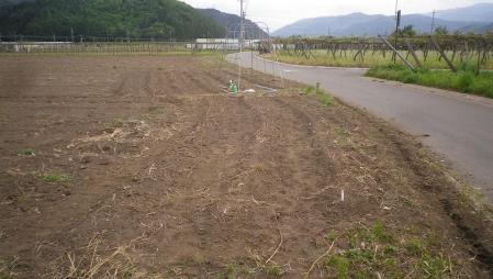 2012-5-20夏野菜