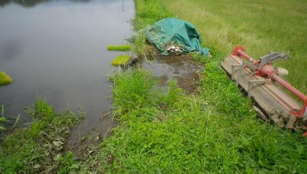 2012-6-5田んぼ.JPG (2)