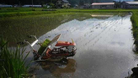 2012-6-7田植え