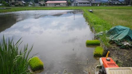 2012-6-7田植え