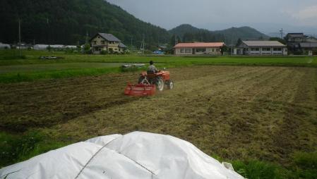 2012-6-8田んぼ