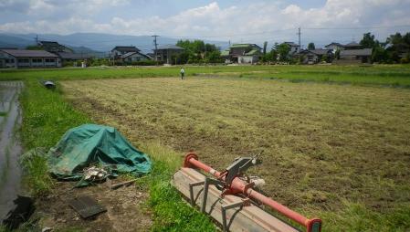 2012-6-8田んぼ