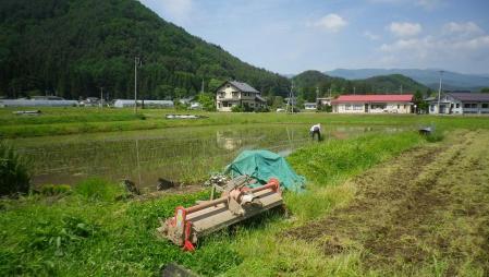 2012-6-8田んぼ