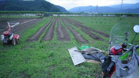 2012-6-11ごま