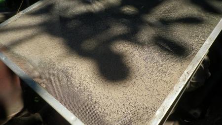コンバイン掃除2