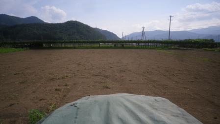 そばの種まき (1)