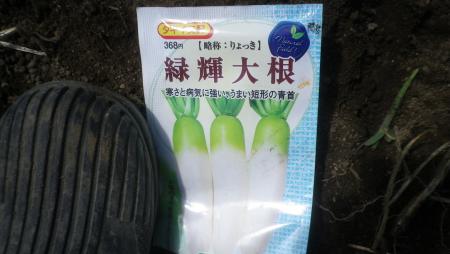 大根緑輝 (3)